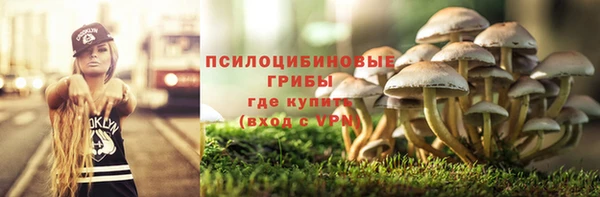 винт Лиски