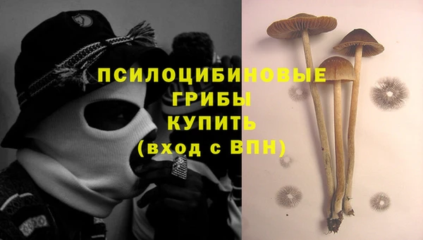 сатива Липки