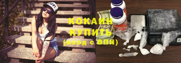 дмт Аша