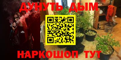 стафф Малгобек