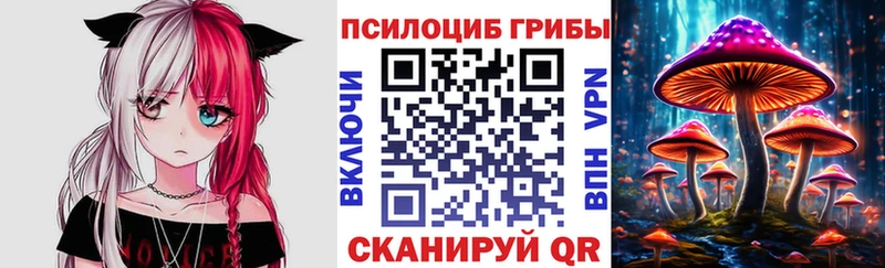 МЕГА ССЫЛКА купить наркотик Россошь Галлюциногенные грибы мухоморы