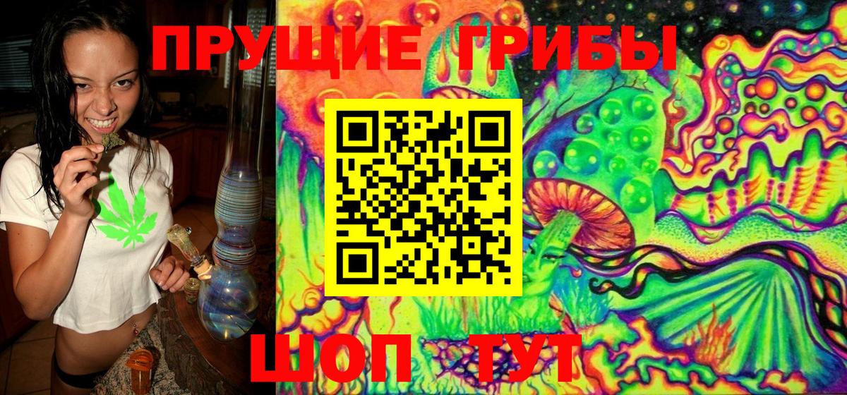 Псилоцибиновые грибы мицелий  Вход с VPN  где продают   Россошь 