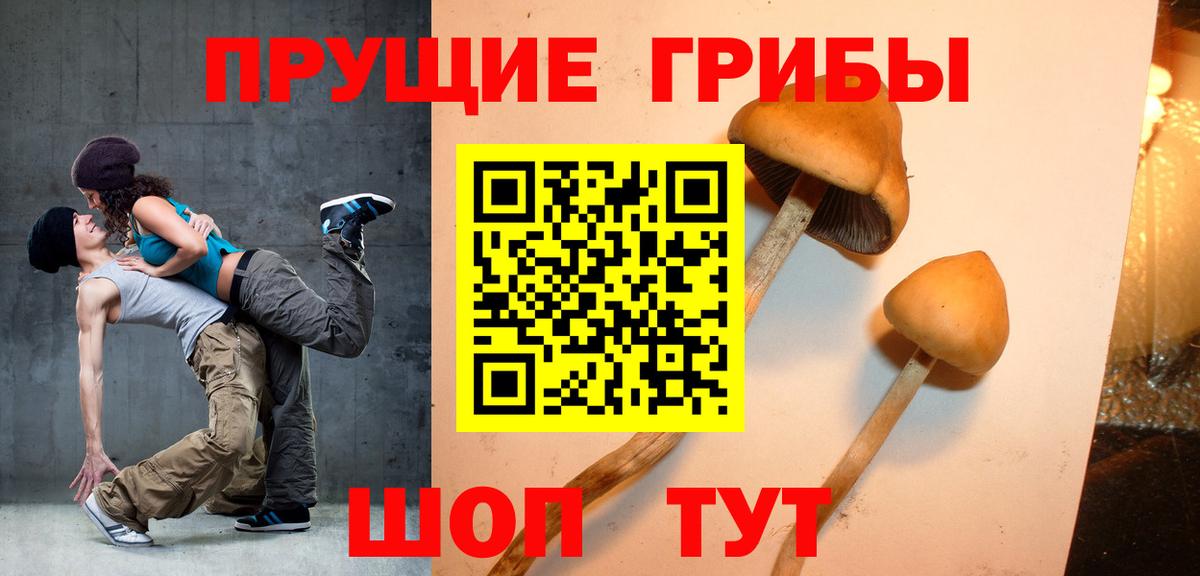 Псилоцибиновые грибы ЛСД Россошь